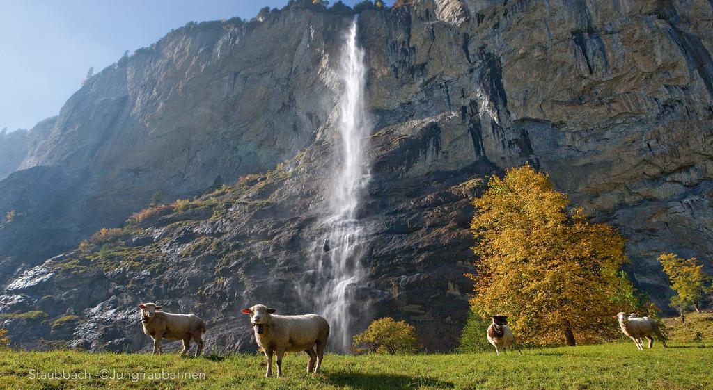 Camping Jungfrau Lauterbrunnen Bagian luar foto