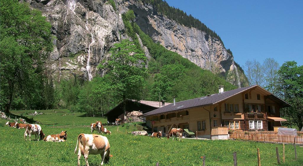 Camping Jungfrau Lauterbrunnen Bagian luar foto